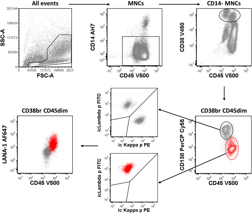 FIGURE 1