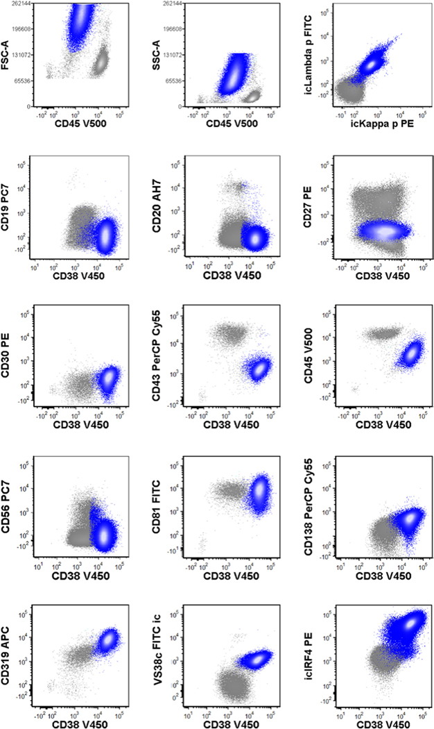 FIGURE 4