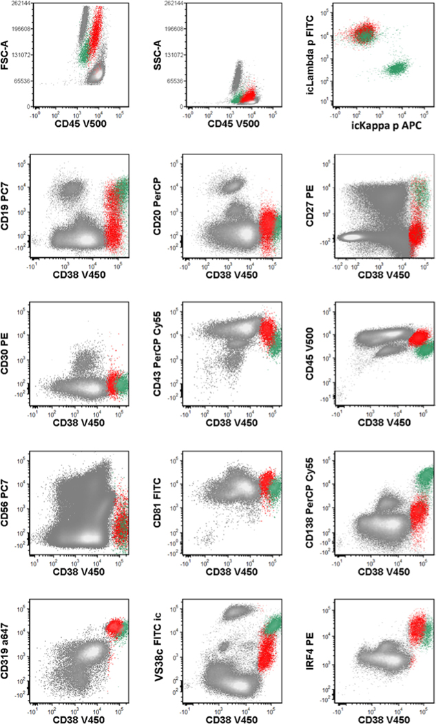 FIGURE 2