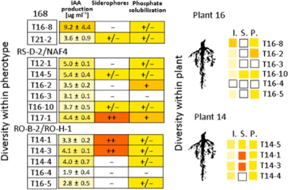 Fig 6