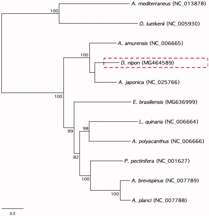 Figure 1.