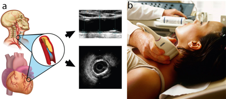 Fig. 6.
