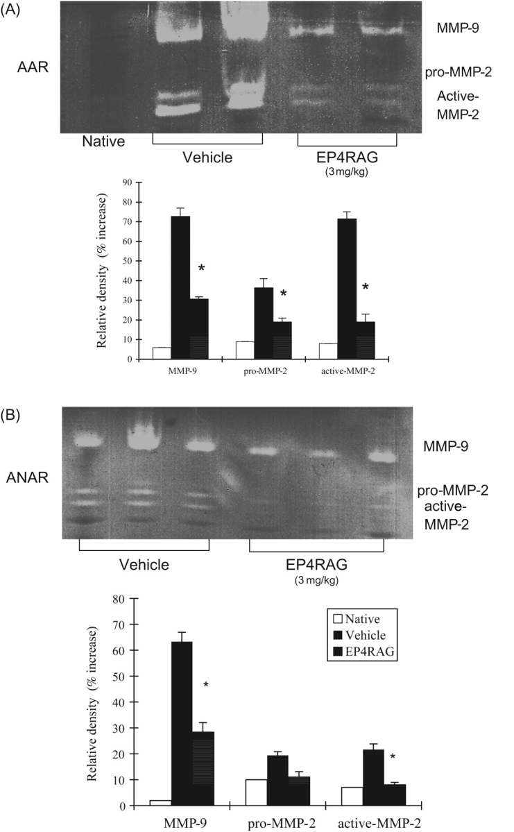 Figure 5