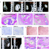 FIG. 7.