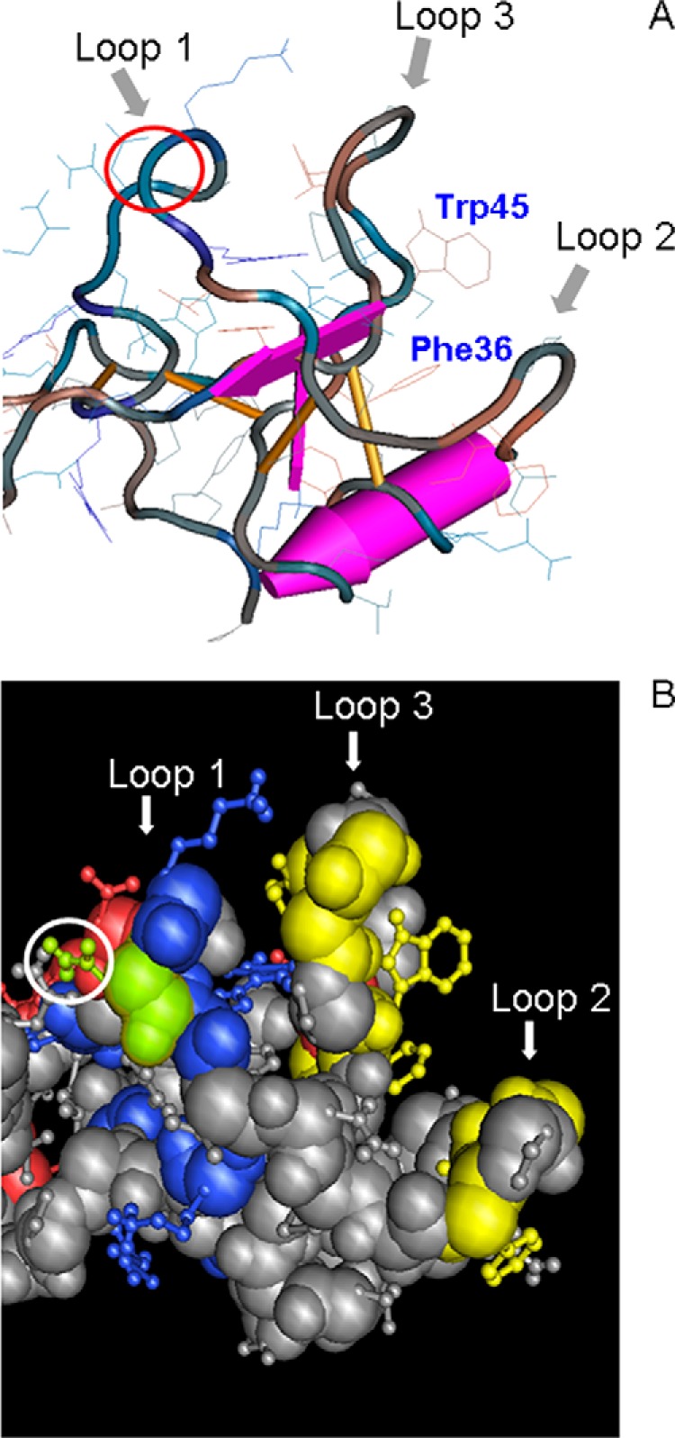 FIGURE 10.