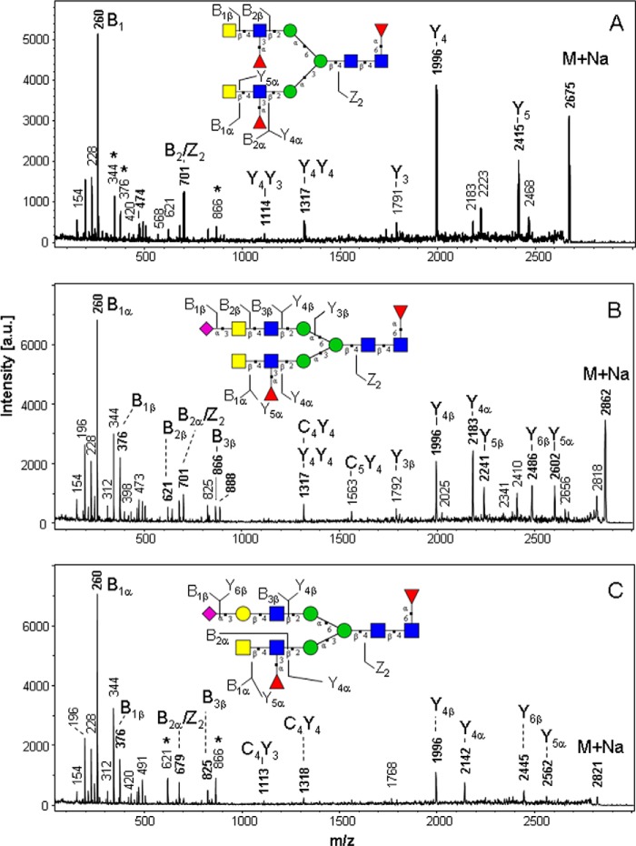 FIGURE 5.