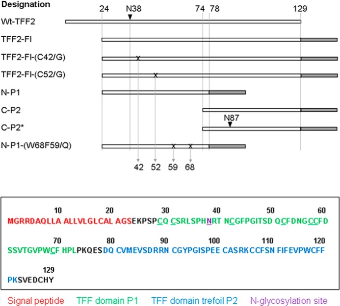 FIGURE 1.