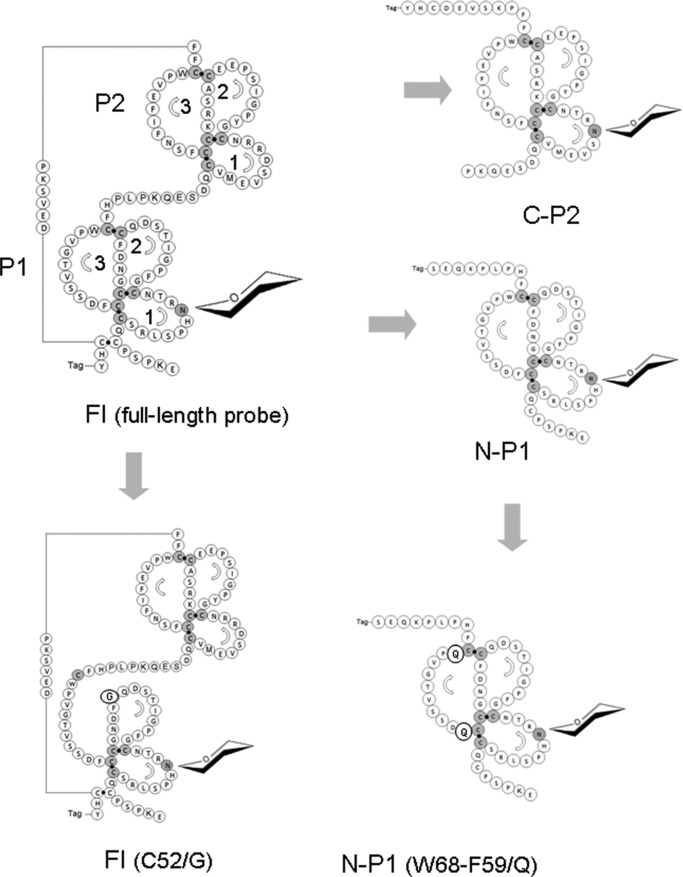 FIGURE 2.