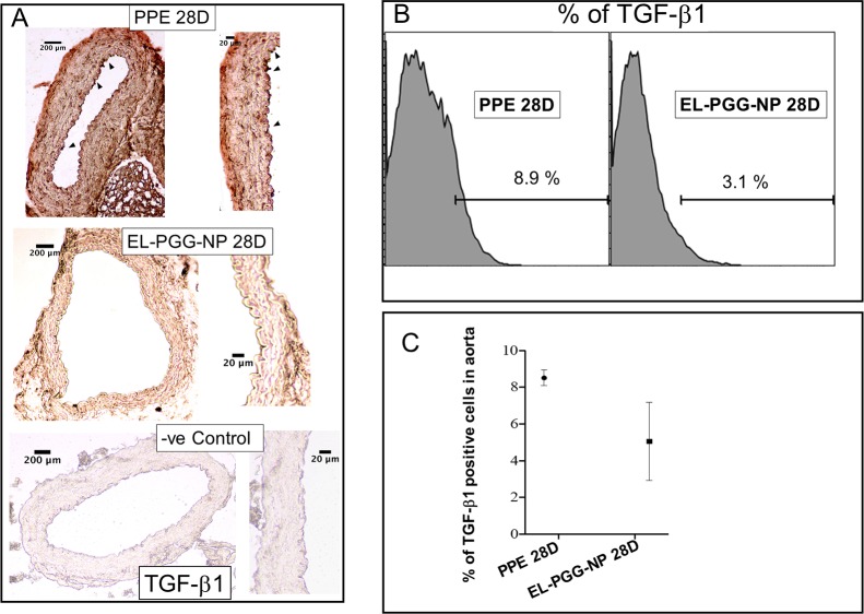 Fig 8