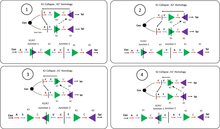 Figure 2