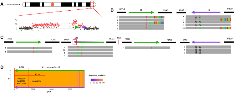 Figure 4