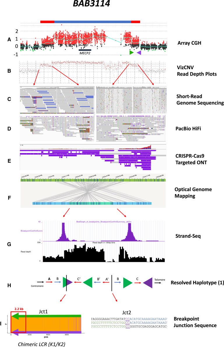 Figure 5