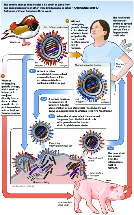 FIGURE 2.