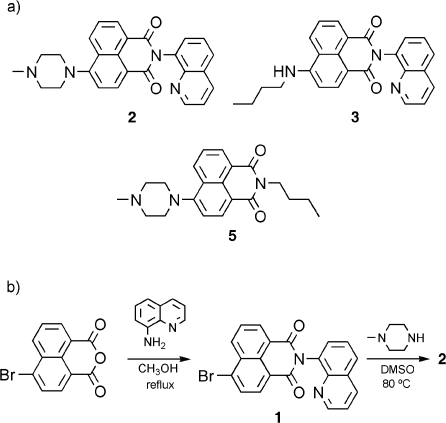 Scheme 2