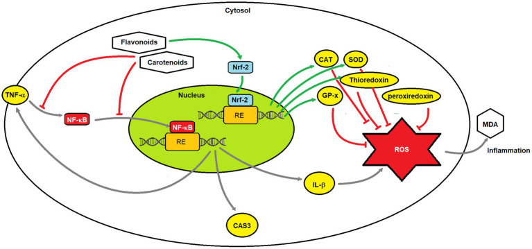 Figure 19