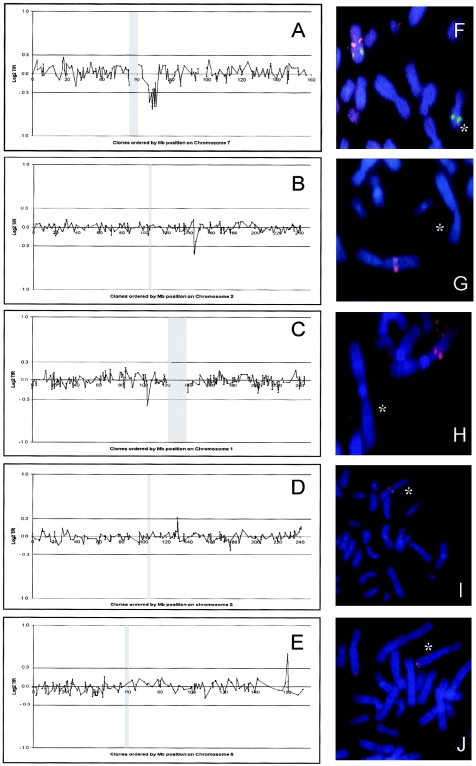 Figure  2 