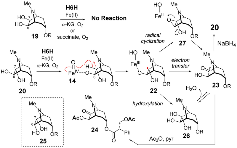 Scheme 3.