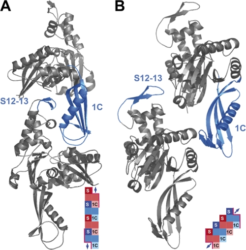 FIGURE 1.