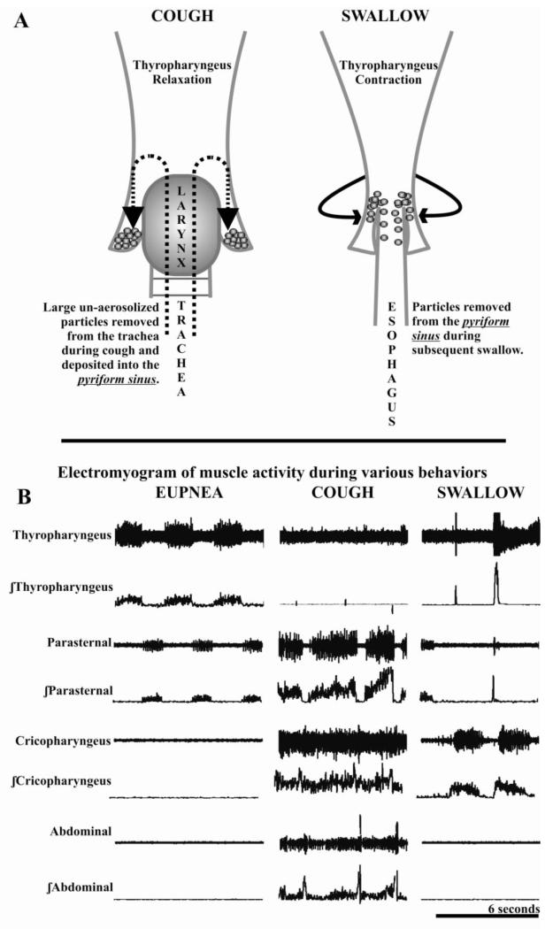 Figure 1a