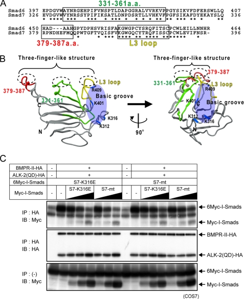 FIGURE 6.