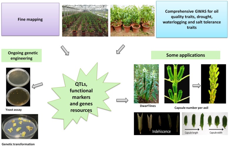 FIGURE 4