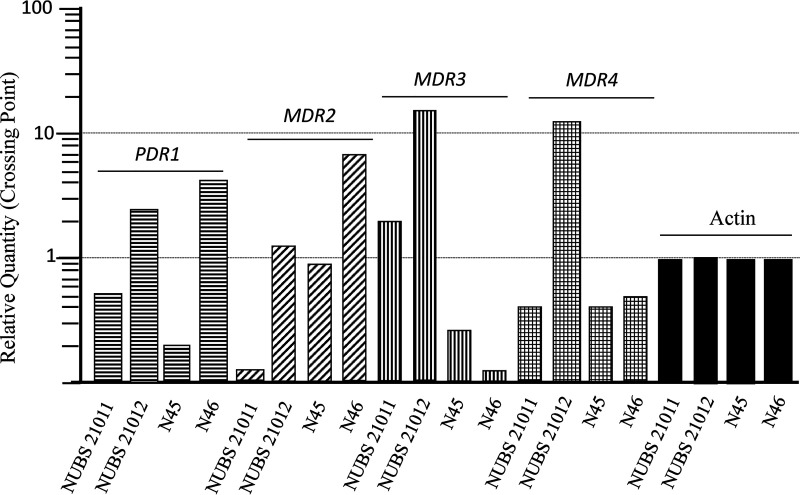 FIG 1