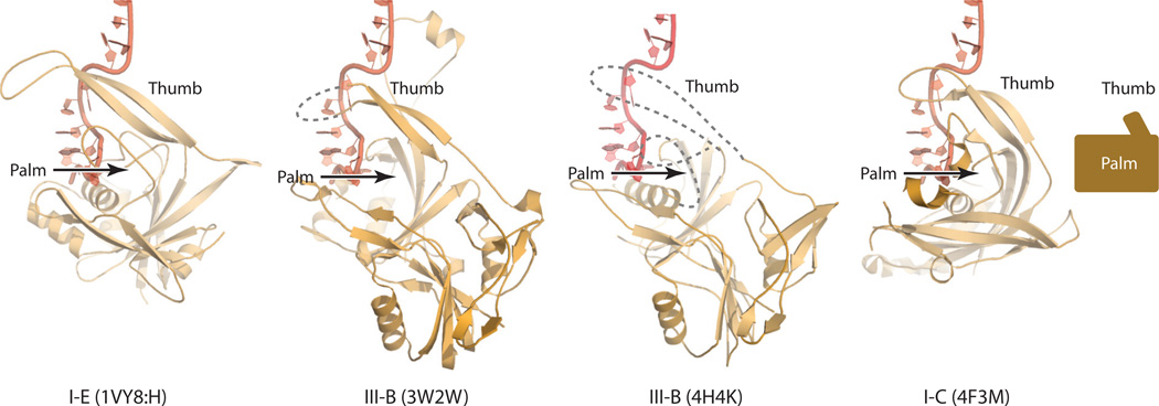 Figure 7