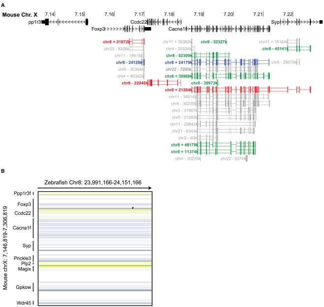 Figure 2