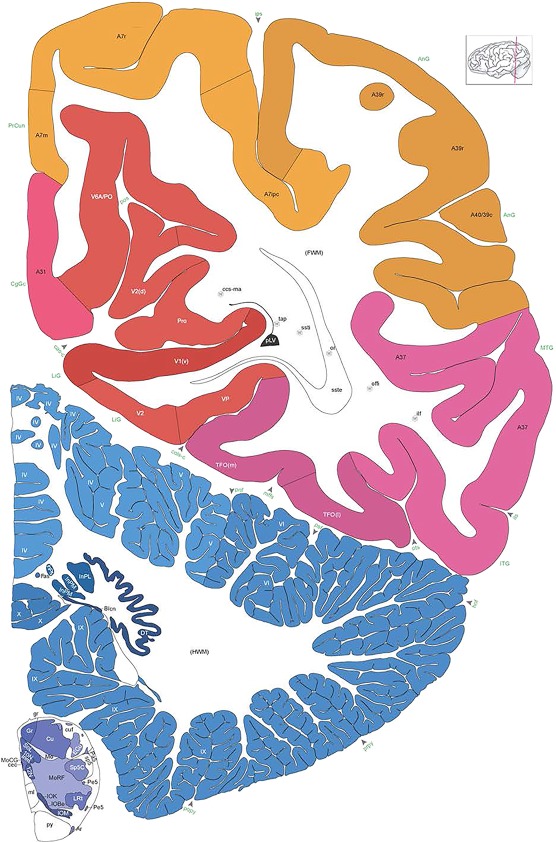 Figure 17