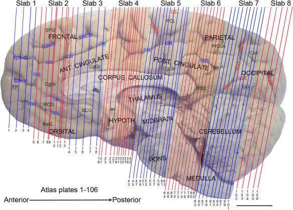 Figure 16