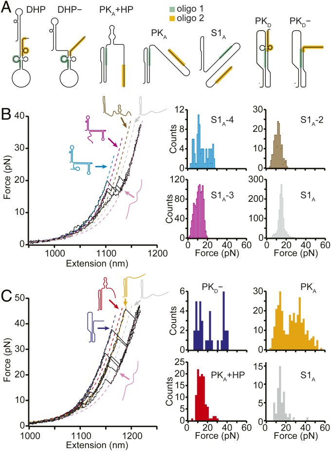 Fig. 3.