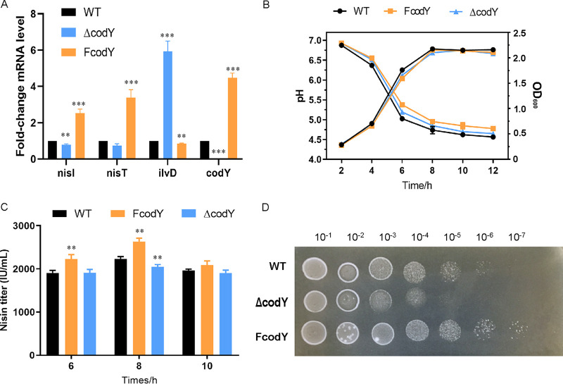 FIG 4