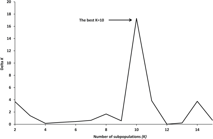 Fig. 5