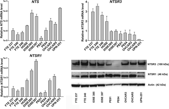 PATH-5264-FIG-0003-b