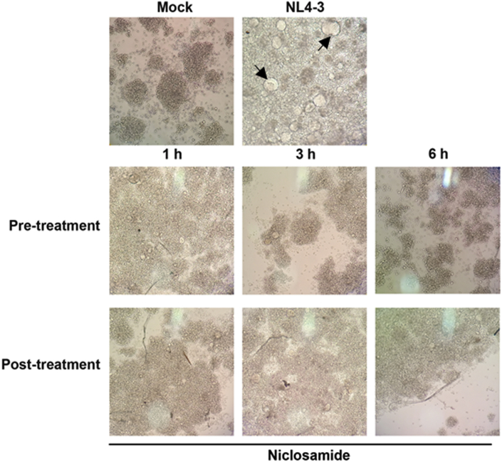 Figure 4