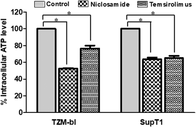 Figure 11