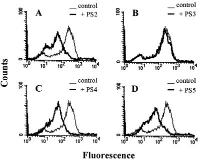 FIG. 6