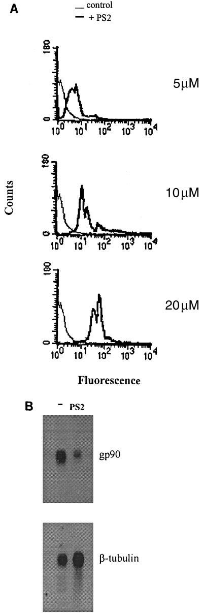 FIG. 7