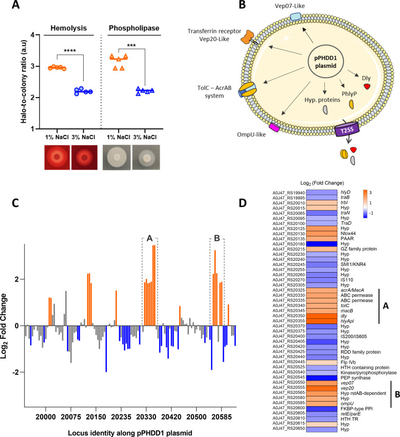 Fig 10