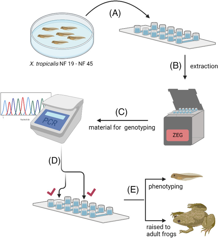 FIGURE 1