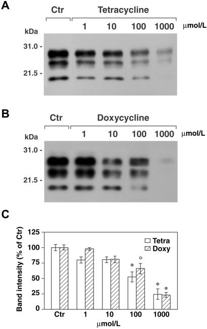 Fig 1.