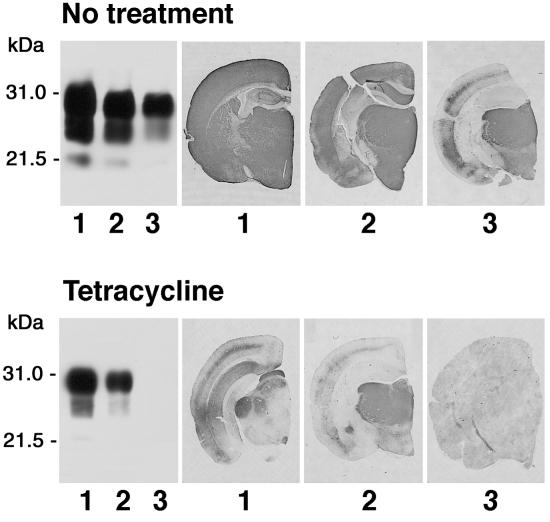 Fig 4.