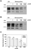 Fig 1.