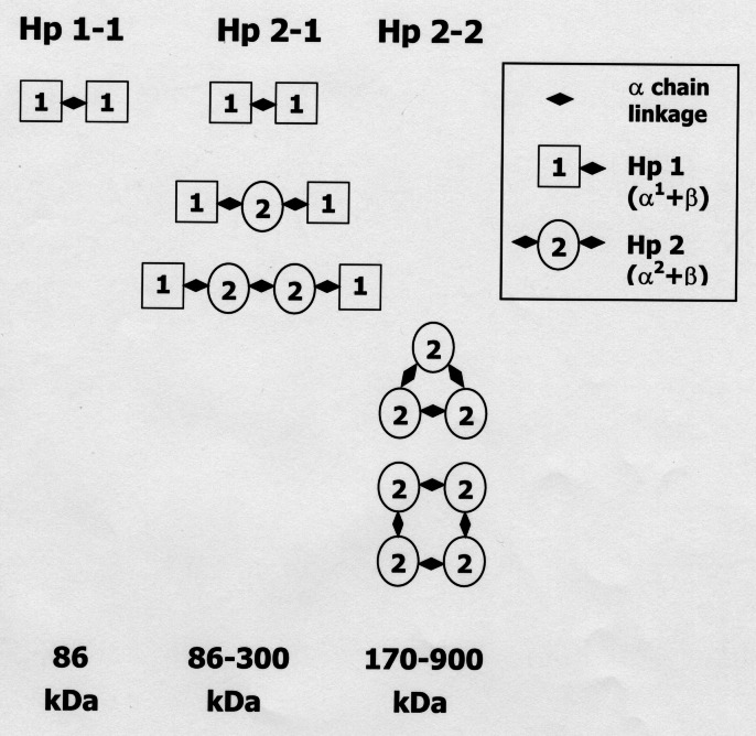 Figure 1)