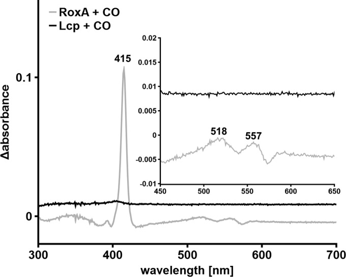 FIG 6