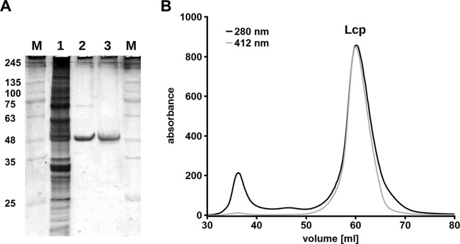 FIG 2