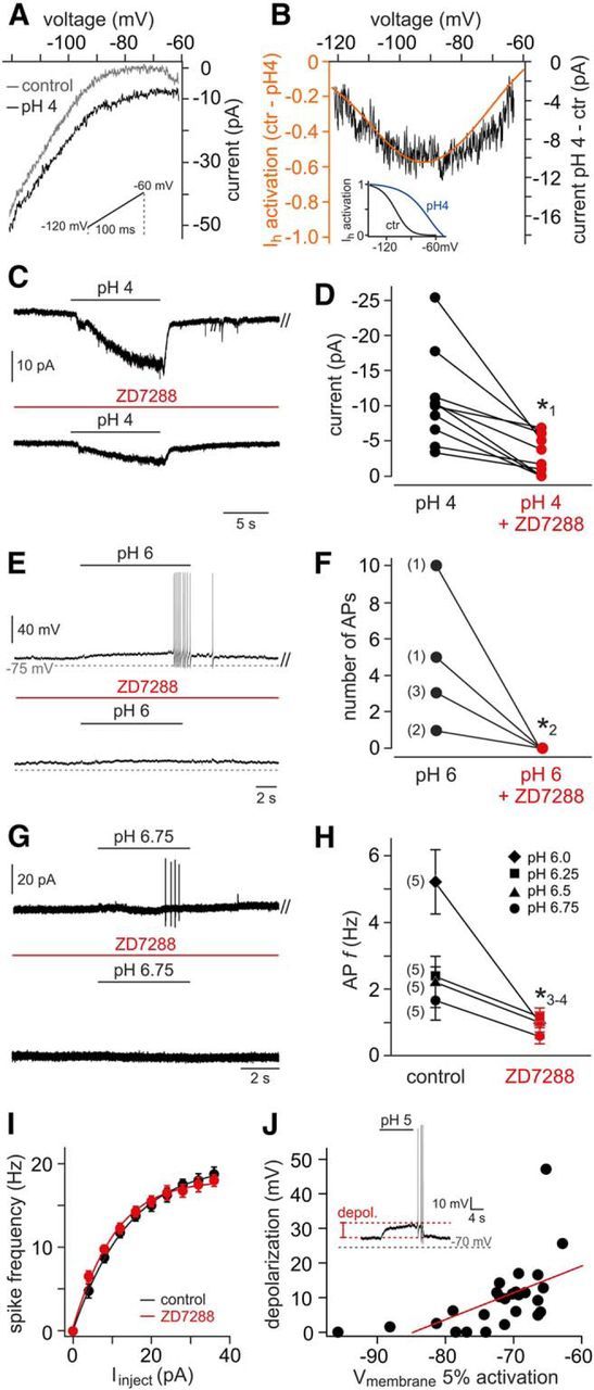 Figure 10.