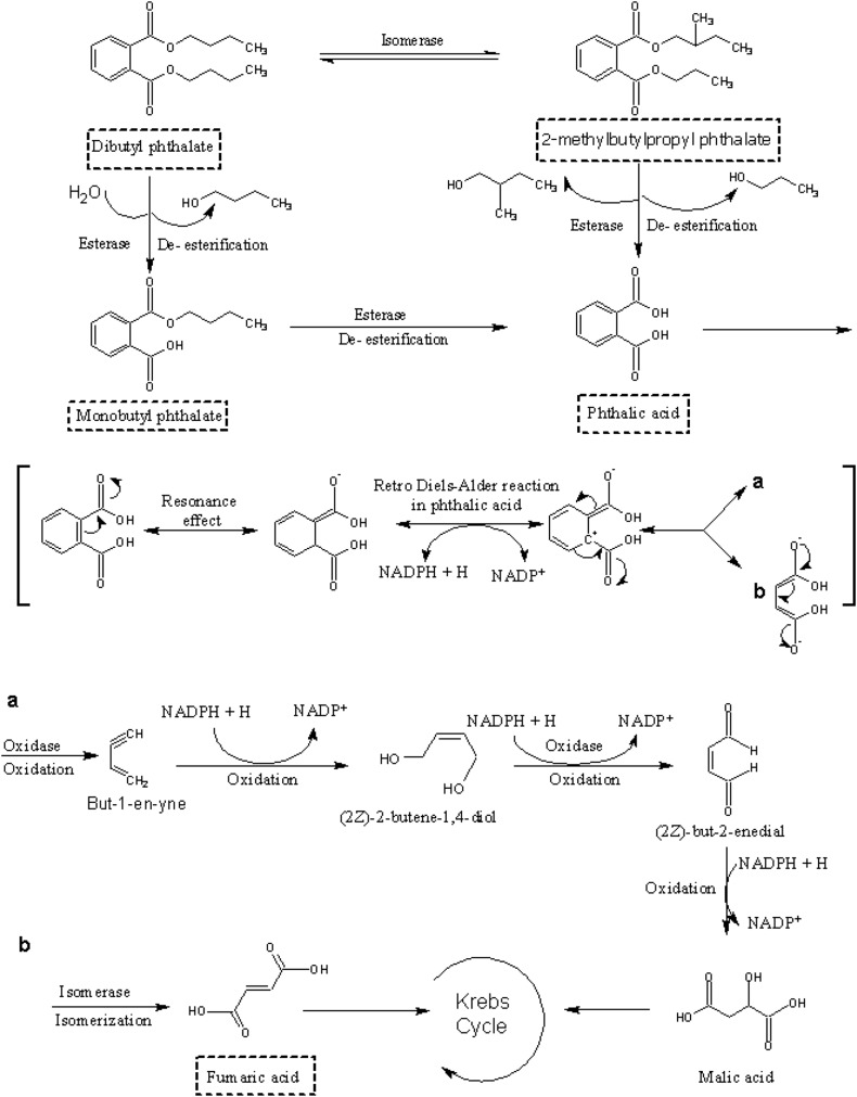 Fig. 6