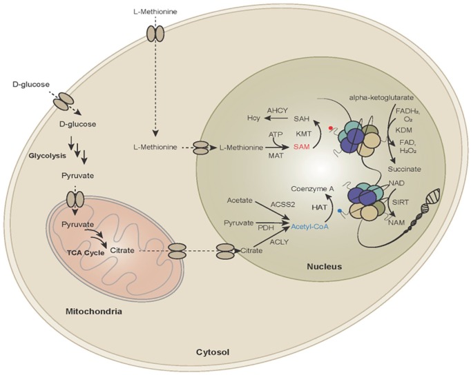 Figure 1.