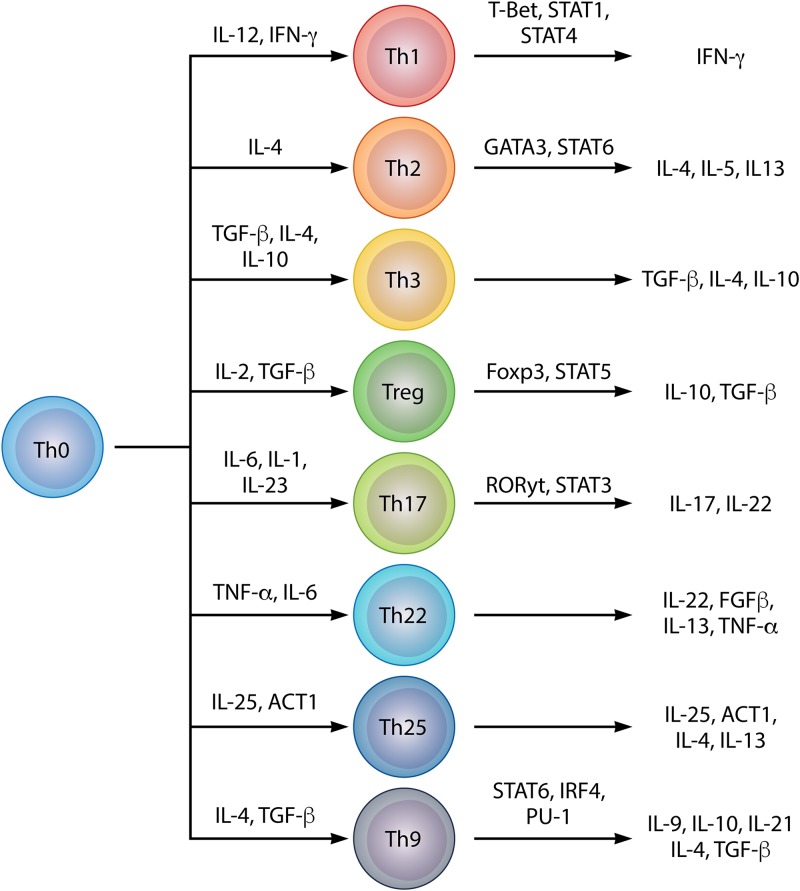 FIG 4